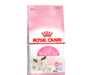 Thức ăn cho mèo Royal Canin chính hãng